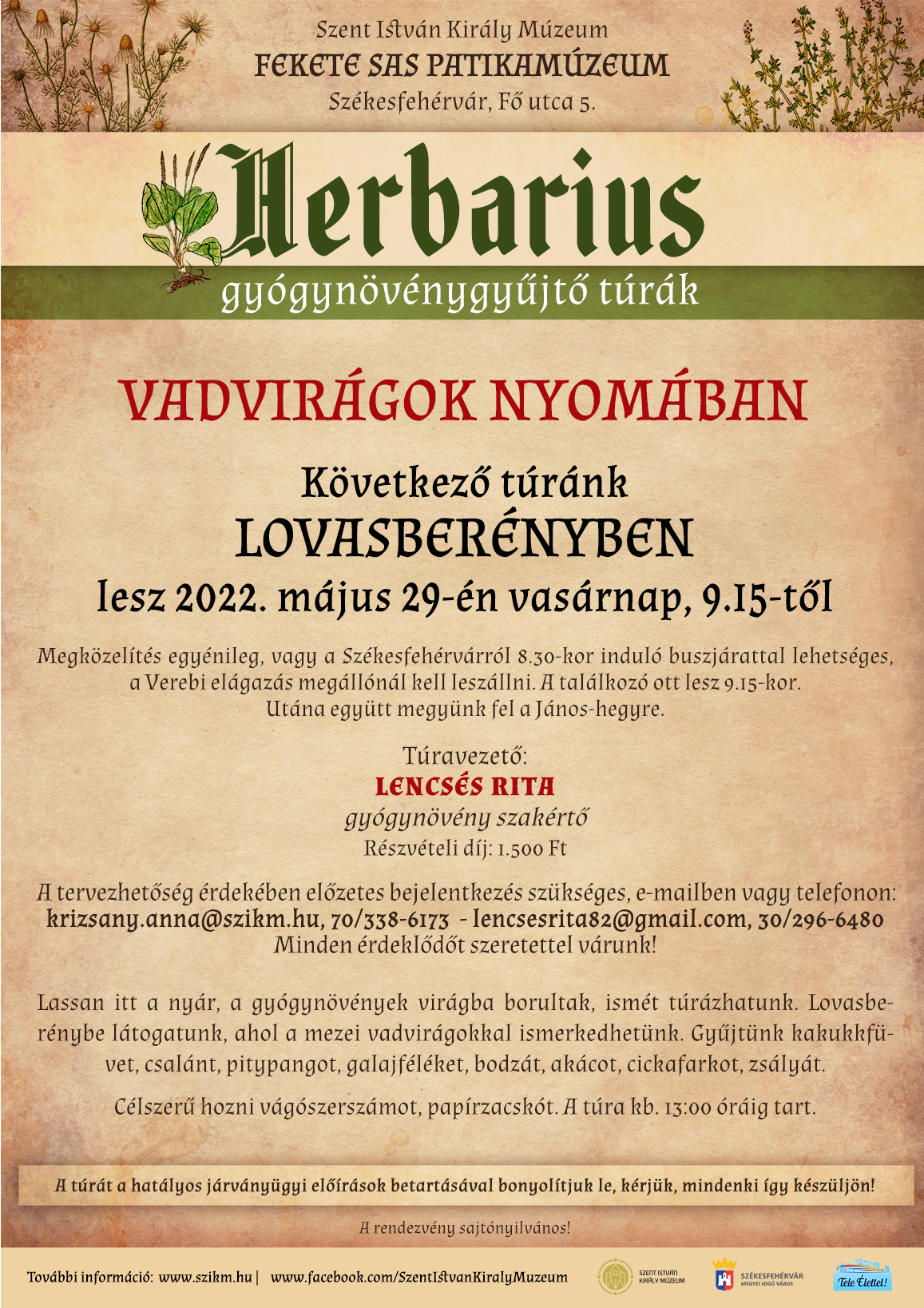 Lovasberényben folytatódnak vasárnap a Herbarius túrák